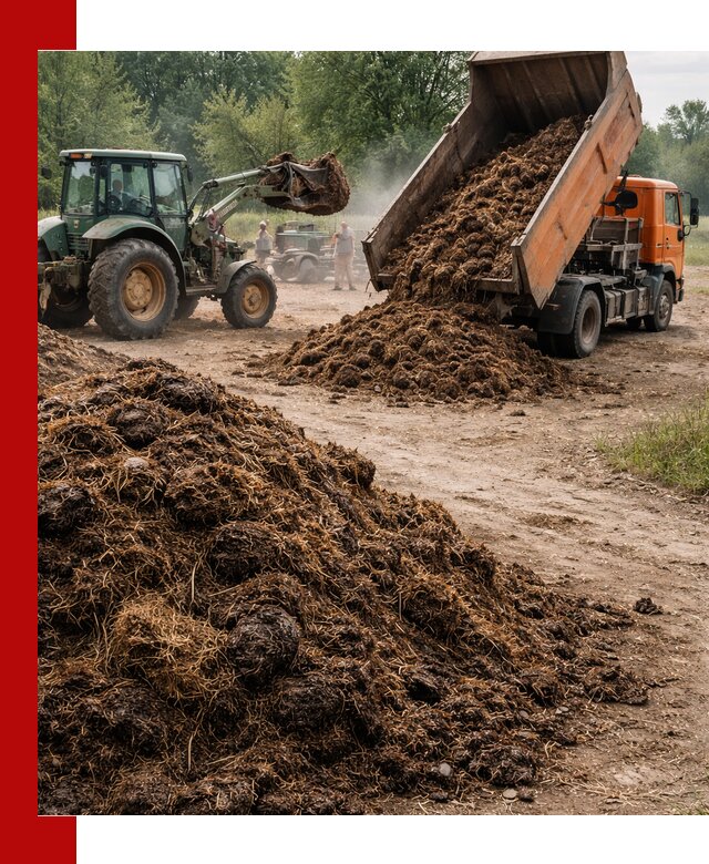 Доставка навоза самосвалами в Полысаеве для сельхозпотребностей